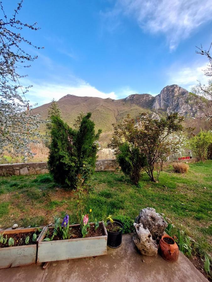 Incredible Apartment With A Mountain View - Matka Scopia Exterior foto